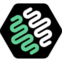 HiveMind Consulting logo - Similar company to Saveinvest Sp. Z O.O.
