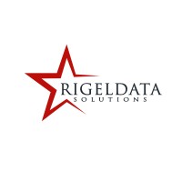 RigelData Solutions logo - Similar company to Insightful It Services