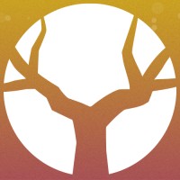 Digisome Oy logo - Similar company to Kravattitehdas