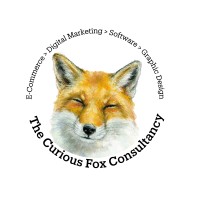 Curious Fox Consultancy logo - Similar company to Itg Technologies