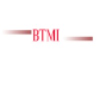 Btmi Consulting
