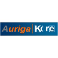 The Auriga Network
