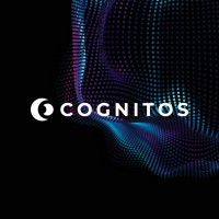 Cognitos logo - Similar company to Cognitos System