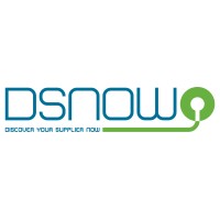 Dsnow.it logo - Similar company to Facchini Impianti