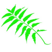 Nimba Software Services logo - Similar company to Technith Software Solutions Llp