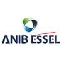 ANIB ESSEL INSURANCE BROKERS PRIVATE LIMITED logo - Similar company to Smarttech Insurance Brokers