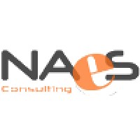 NAeS Consulting s.r.l. logo - Similar company to Fenix S.R.L