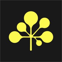 Lemontree.studio logo - Similar company to Beit Levant - Creative Agency