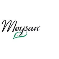 Meysan logo - Similar company to Regnfit
