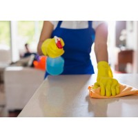 Housekeeper Next Door logo - Similar company to Housekeeper