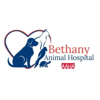 Bethany Animal Hospital logo - Similar company to Dhanvantary Bioscience Private Limited