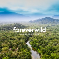 foreverwild logo - Similar company to Sound Pop Academy