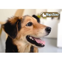 TopZoo logo - Similar company to Soleads