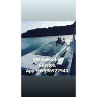 Vip Executive Services
