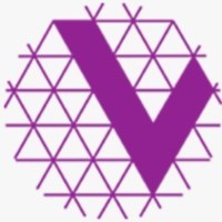 V Info Technologies logo - Similar company to Edge Flex Solutions