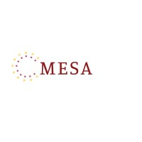 MESA Network logo - Similar company to Tech.Co