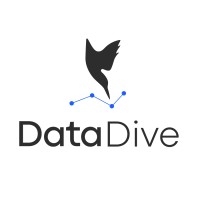 Data Dive Tools logo - Similar company to Flieber