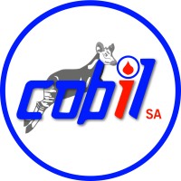 Cobil sa logo - Similar company to Meridor