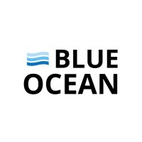 Blue Ocean Strategy logo - Similar company to Six Paths Consulting