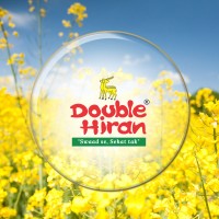 Double Hiran Products logo - Similar company to Feom Private Limited