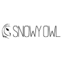 Snowy Owl Technologies logo - Similar company to Blue Pack Marketing