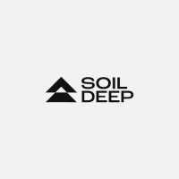 Soil Deep For Transportation logo - Similar company to Deep Soil Mixing Ltd