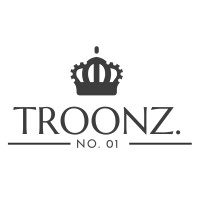 Troonz B.V. logo - Similar company to Stavv
