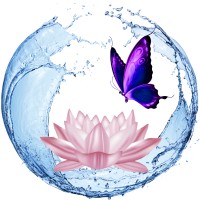 Totally You Beauty logo - Similar company to Body Sanctum Day Spa