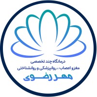 RazaviBrain logo - Similar company to Jahad Daneshgahi Of Mashhad