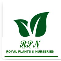 Royal Plants & Nurseries - RPNLtd logo - Similar company to Viveros Cambil
