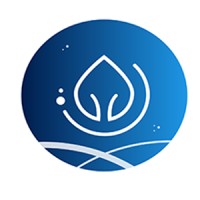 SpaceSeed logo - Similar company to Odyyy