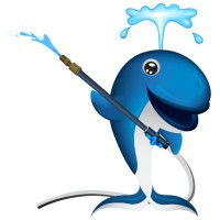 Blue Whale SWS logo - Similar company to Leadcurrent