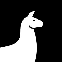 Bright Alpaca Digital Services logo - Similar company to Evolve Consulting