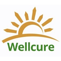 Wellcure logo - Similar company to Fine Flow