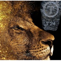 T24 logo - Similar company to T24