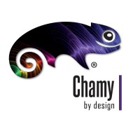 Chamy Design logo - Similar company to Winnet