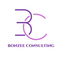Bonzee Consulting logo - Similar company to Detopsy Engineering Limited