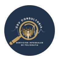 CDV Consultoría logo - Similar company to Escuela De Infinitos