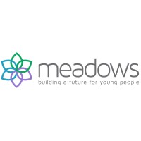 Meadows Care logo - Similar company to Care Today Children'S Services