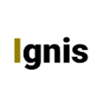 Ignis Agency logo - Similar company to Rio Sul Indústria E Comercio De Produtos Para Limpeza