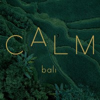 Calm Rehab Bali logo - Similar company to Best Indonesian Gift