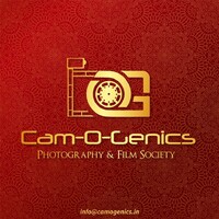 Camogenics logo - Similar company to Daily Bytes