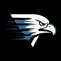 Funnel Falcon logo - Similar company to Versesol