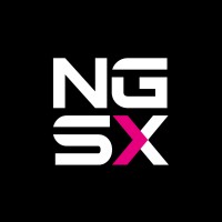 NGSX Segurança Digital logo - Similar company to Such A Software