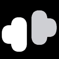 Brain.io logo - Similar company to Wolf Digital Hub