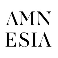 AMNESIA AMN's logo - Similar company to Sygnum Code