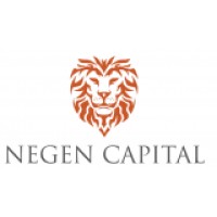 Negen PMS logo - Similar company to Illium Venture Capital