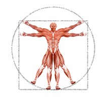 Dr. Muscle logo - Similar company to Karoot Software Solution