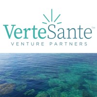 Verte Sante Venture Partners, Inc.