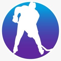PUCK STOP LIMITED logo - Similar company to Langowski